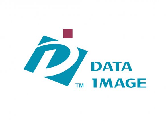 Data Image Logo