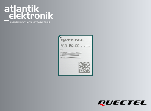 QCT-EG916QGLLG-N03-SGNSA / LTE Cat 1 Modul von dem Hersteller Quectel